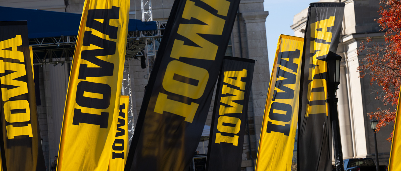 Iowa flags