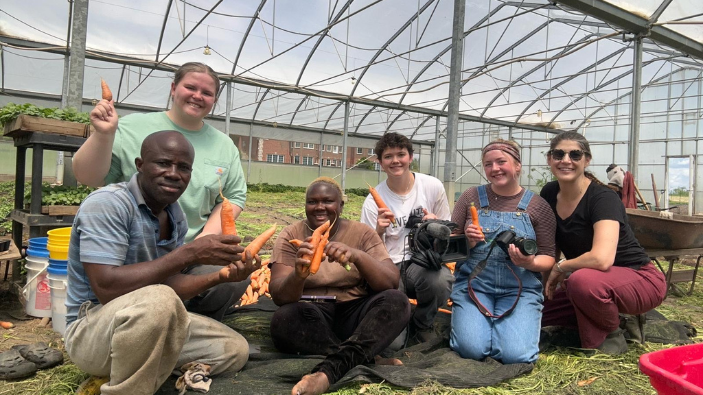 BTS Carrot Farm
