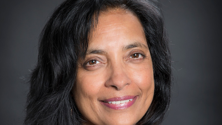 Meenakshi Gigi Durham